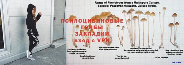 гидропоника Михайловка