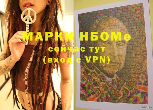 ГАЛЛЮЦИНОГЕННЫЕ ГРИБЫ Михайлов