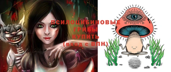 ГАЛЛЮЦИНОГЕННЫЕ ГРИБЫ Михайлов