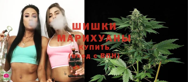 ГАЛЛЮЦИНОГЕННЫЕ ГРИБЫ Михайлов