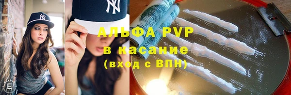 ГАЛЛЮЦИНОГЕННЫЕ ГРИБЫ Михайлов