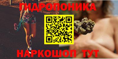 тгк Пенза