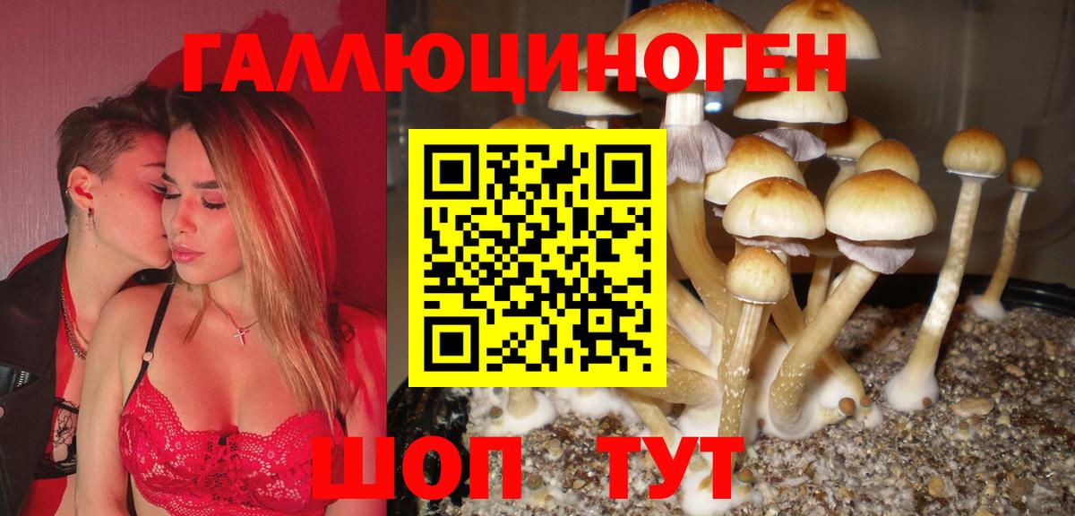 Смоленск  Галлюциногенные грибы Psilocybine cubensis  Псилоцибиновые грибы Psilocybine cubensis  Вход с VPN 